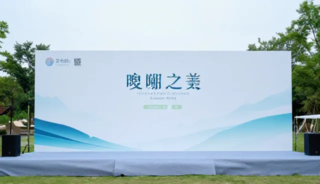 内容驱动下品牌传播策略的常见问题与应对方法